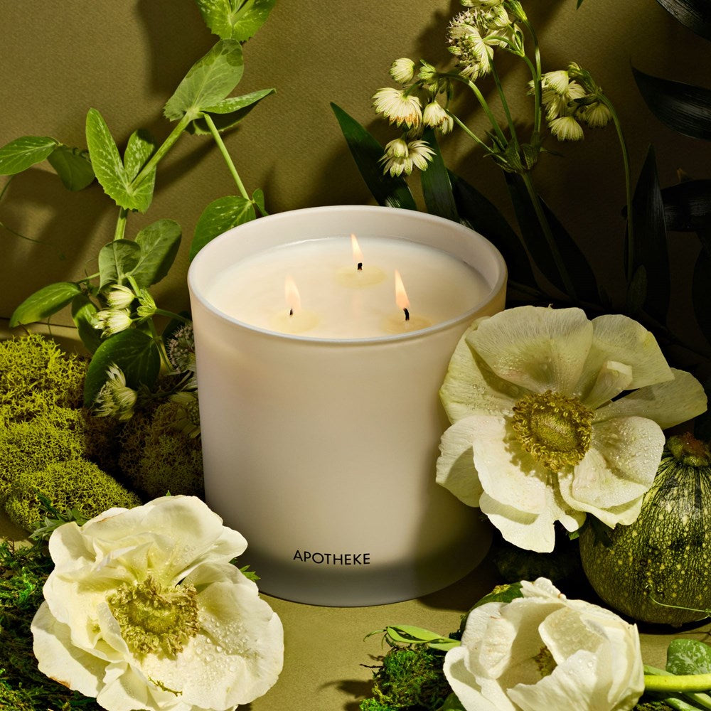 Verdant Garden 3-Wick Candle - PoshaBella