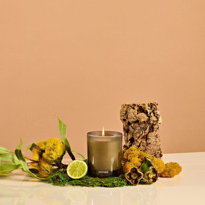 White Vetiver Petite Candle - PoshaBella