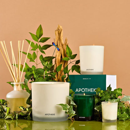 Wild Mint and Ivy Votive Candle - PoshaBella