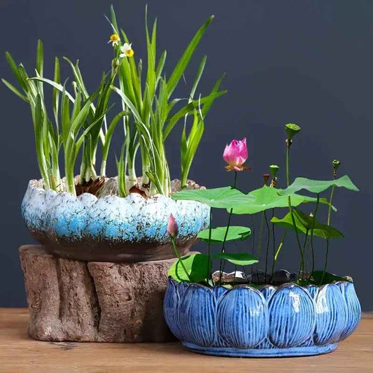1pc Casual Style Ceramic Flower Pot, Round Tabletop Hydroponic Planter, for Bulbs, Succulents, and Lotus, Indoor and Outdoor Decorative Pot with No Drainage Hole