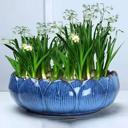 1pc Casual Style Ceramic Flower Pot, Round Tabletop Hydroponic Planter, for Bulbs, Succulents, and Lotus, Indoor and Outdoor Decorative Pot with No Drainage Hole