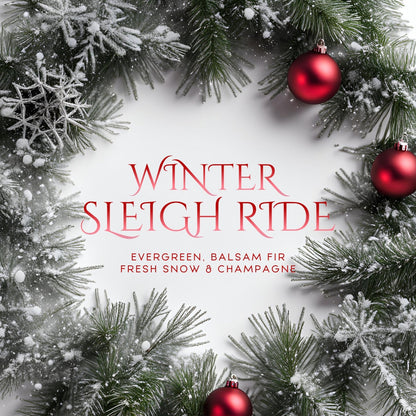 Winter Sleigh Ride (8.5oz) - Notes: Evergreen, Balsam Fir, Champagne Accord, Oakmoss 1982 Candle Co.™