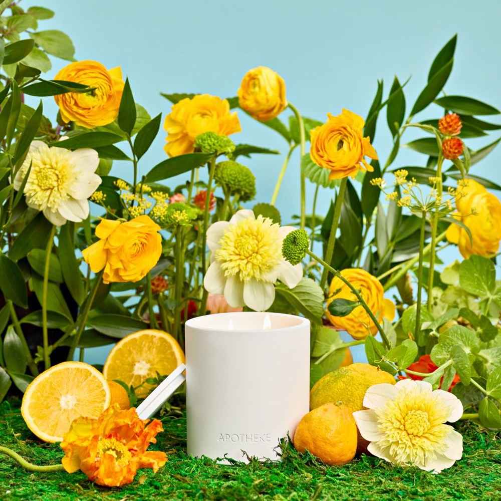 Lemongrass and Neroli 2-Wick Candle
