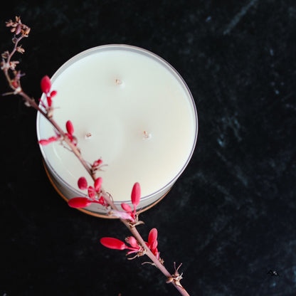 Vetiver & Sandalwood - 3 Wick Jar Candle - PoshaBella
