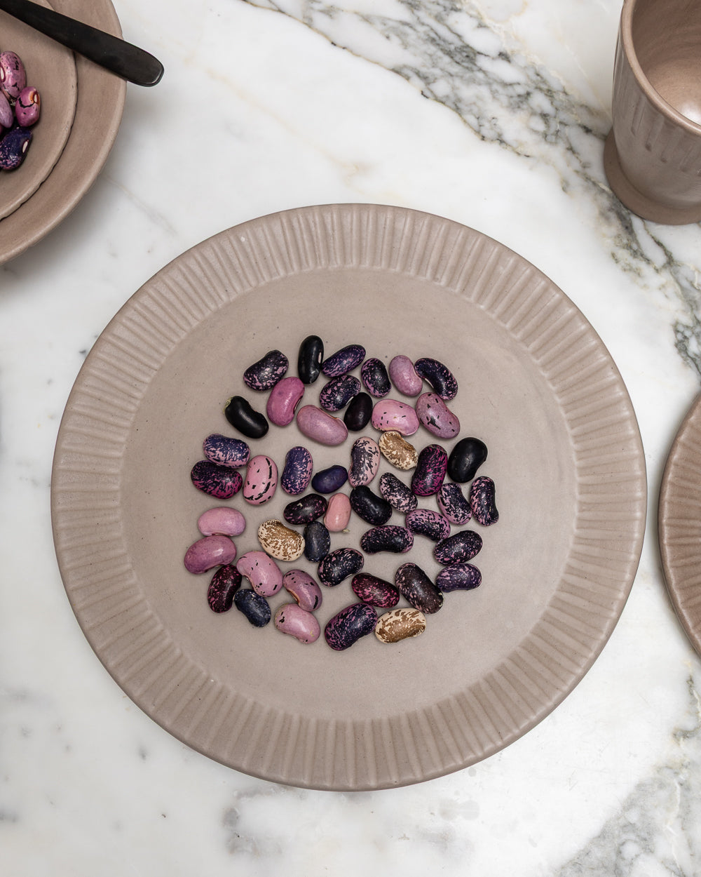 Earth Lines Dinner Plate - Set of 4 - PoshaBella