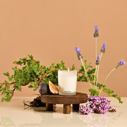 Hinoki Lavender Votive - PoshaBella