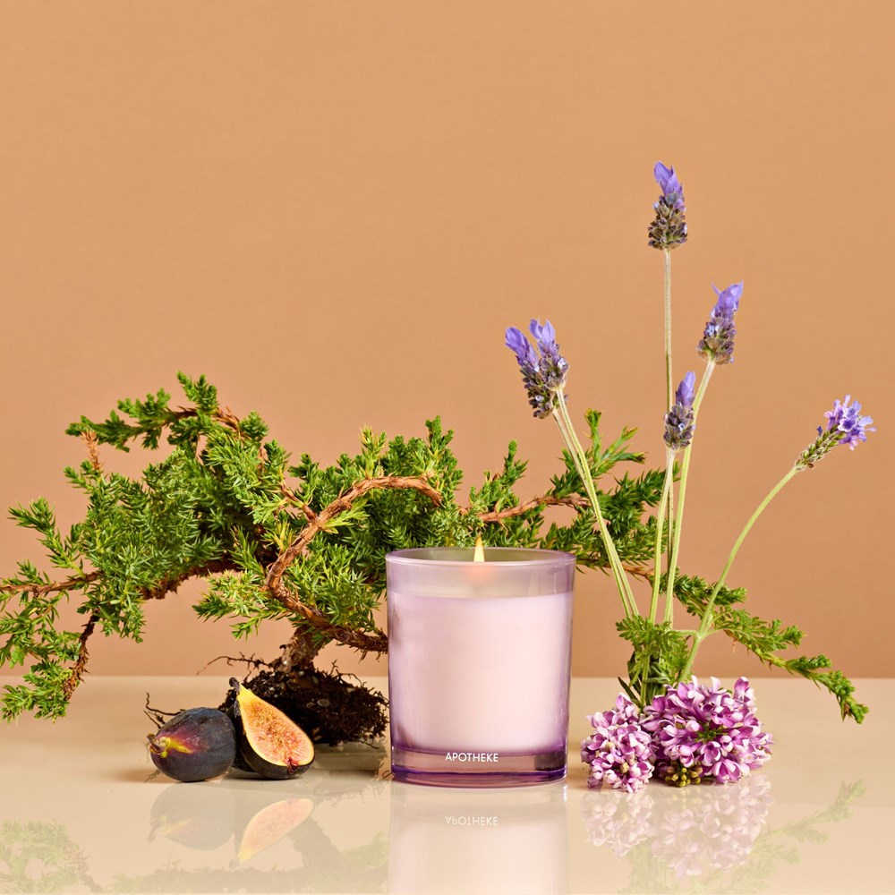 Hinoki Lavender Petite Candle - PoshaBella