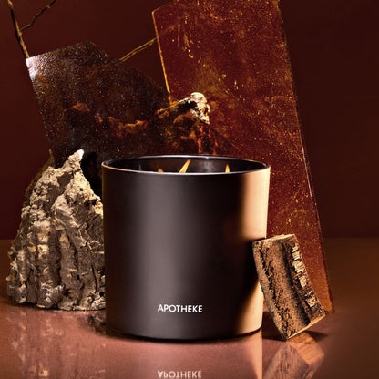 Kindling 3-Wick Candle - PoshaBella