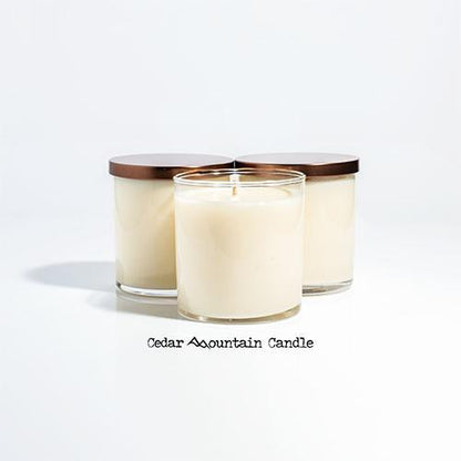 Grinch Christmas Undelivery 9 oz Jar Soy Candle - Winter Scents - PoshaBella