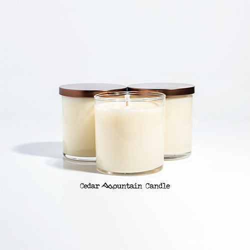 Elf Santa's Coming 9 oz Jar Soy Candle - Winter Scents - PoshaBella