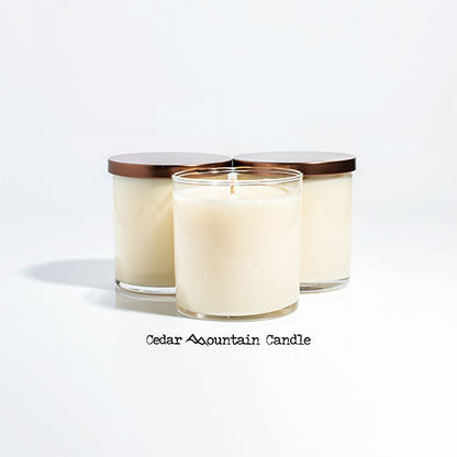 Elf Santa's Coming 9 oz Jar Soy Candle - Winter Scents - PoshaBella