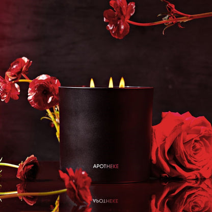 Charcoal Rouge 3-Wick Candle - PoshaBella