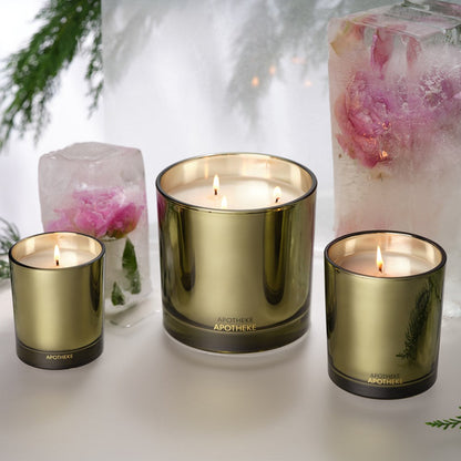 Black Cypress Petite Candle - PoshaBella