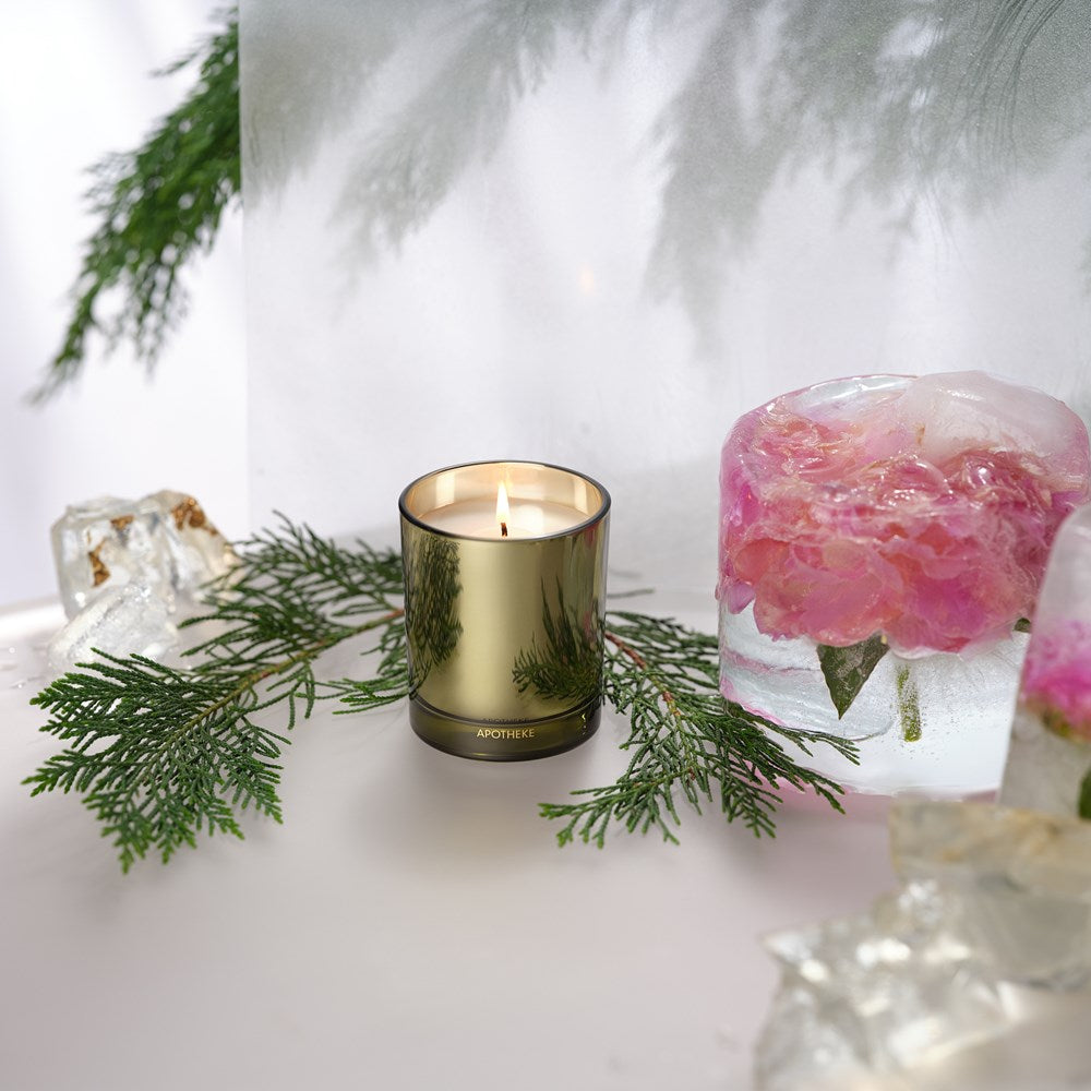 Black Cypress Petite Candle - PoshaBella