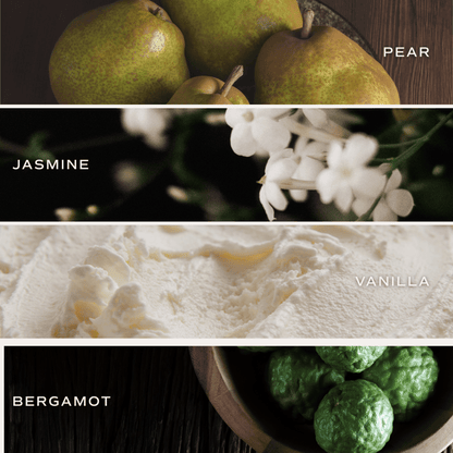 Cashmere and Vanilla Amber Reed Diffuser