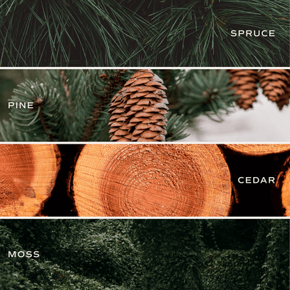 Christmas Tree Soy Candle - Amber Jar - 9 oz