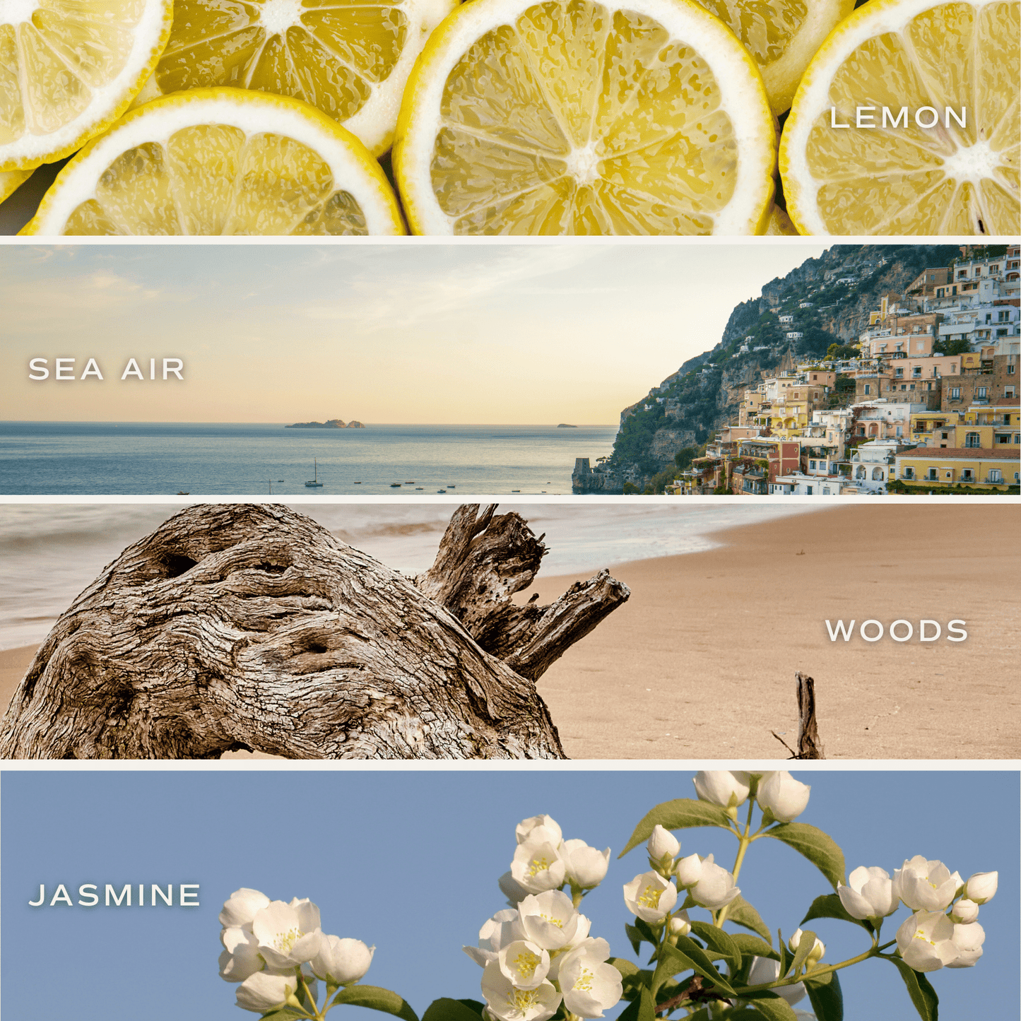 Coastal Lemon Clear Reed Diffuser