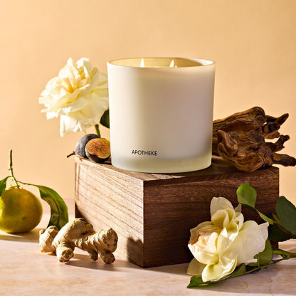 Cedarwood Ginger 3-Wick Candle - PoshaBella
