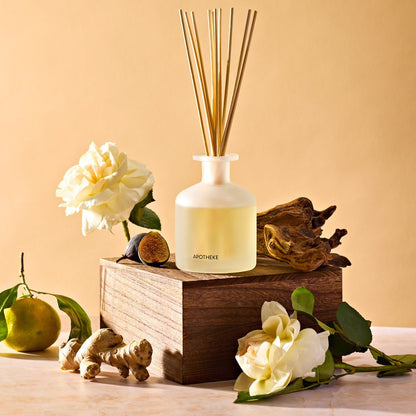 Cedarwood Ginger Reed Diffuser - PoshaBella