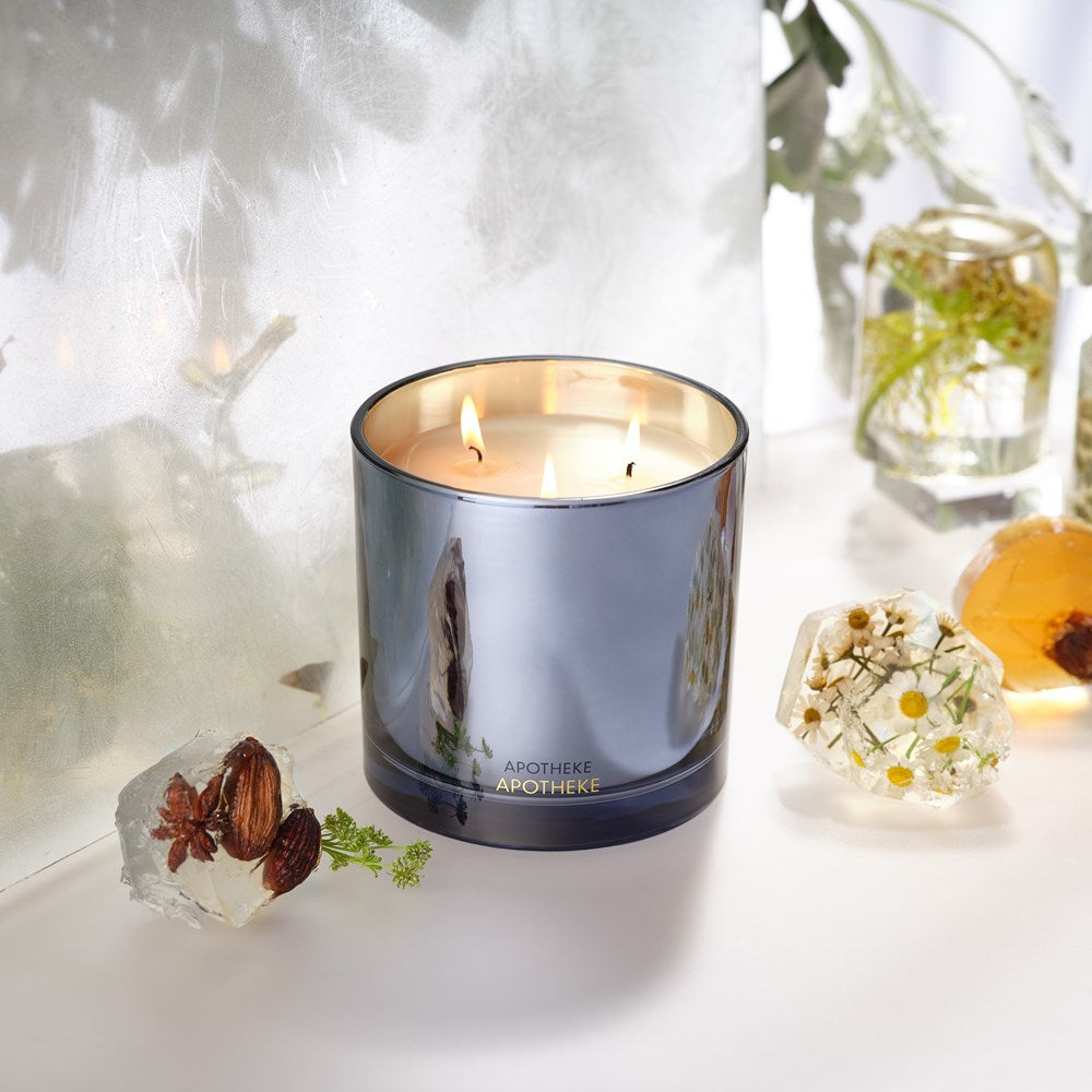 Cardamom Chestnut 3-Wick Candle - PoshaBella