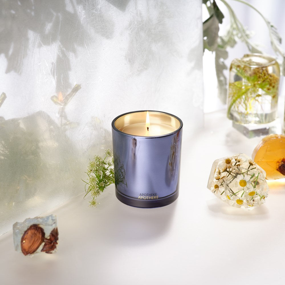 Cardamom Chestnut Classic Candle - PoshaBella