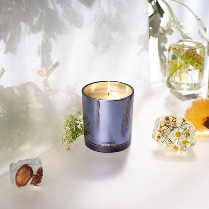 Cardamom Chestnut Classic Candle - PoshaBella