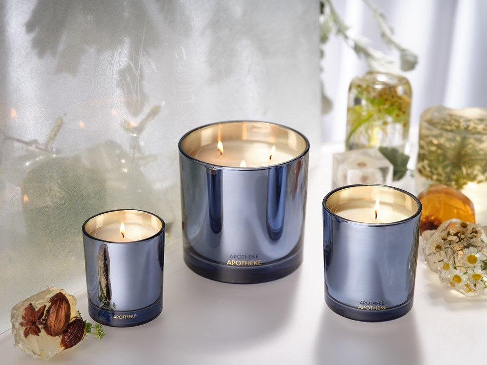Cardamom Chestnut Classic Candle - PoshaBella