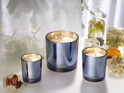 Cardamom Chestnut Petite Candle - PoshaBella