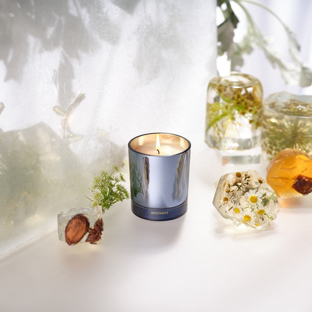 Cardamom Chestnut Petite Candle - PoshaBella