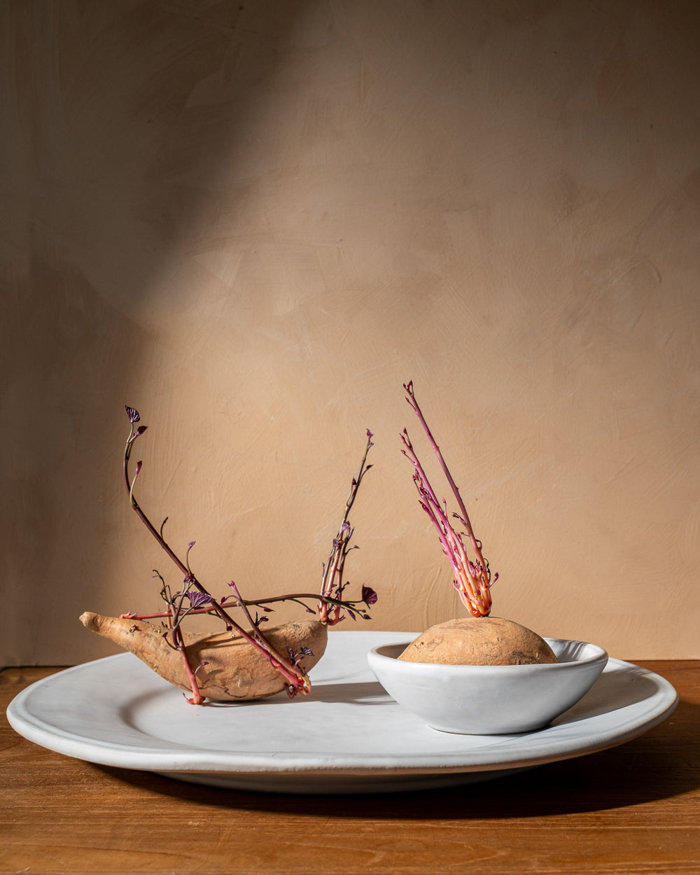 Cloud Oval Serving Tray - PoshaBella