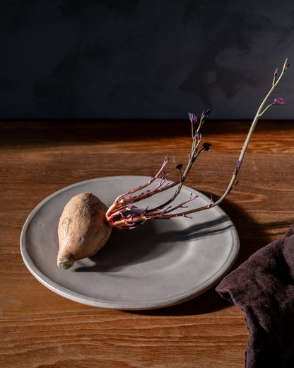 Earth Oval Dessert Plate - Set of 4 - PoshaBella