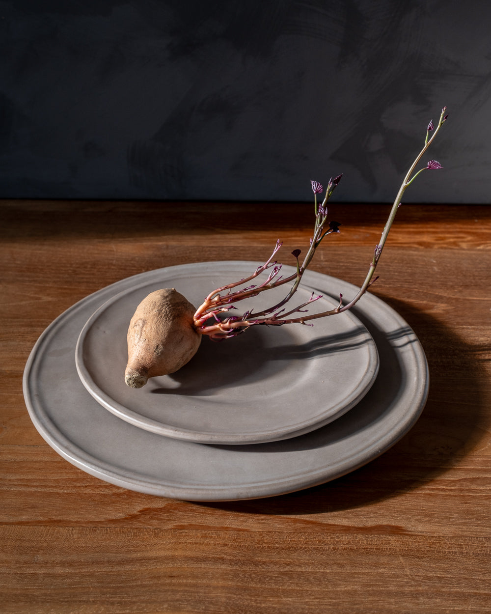 Earth Oval Dinner Plate - Set of 4 - PoshaBella