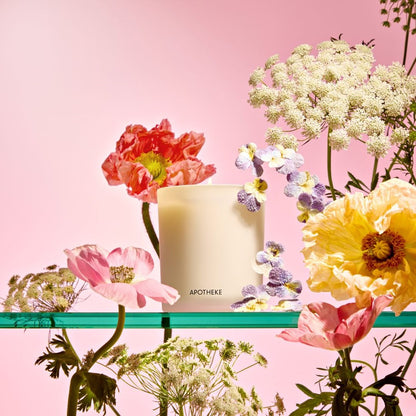 Elderflower Sugar Classic Candle - PoshaBella