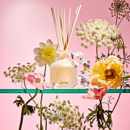 Elderflower Sugar Reed Diffuser - PoshaBella
