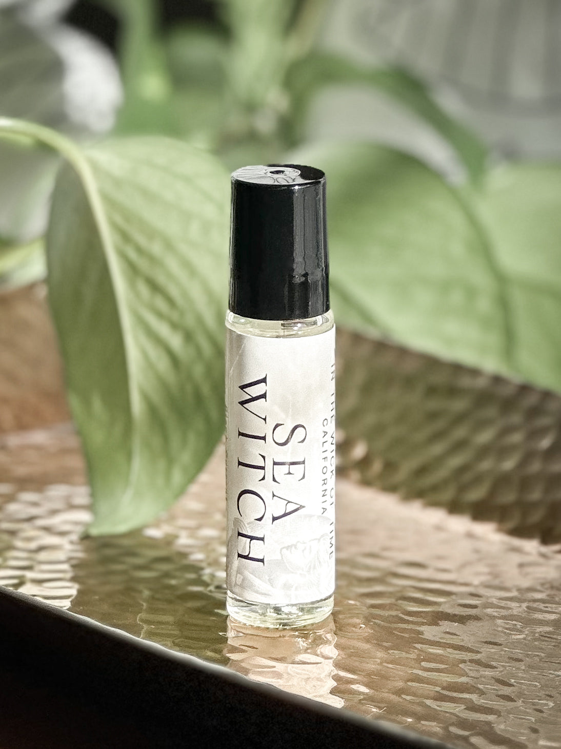 Sea Witch Perfume Oil - PoshaBella