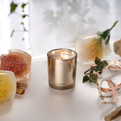 Firewood Classic Candle - PoshaBella