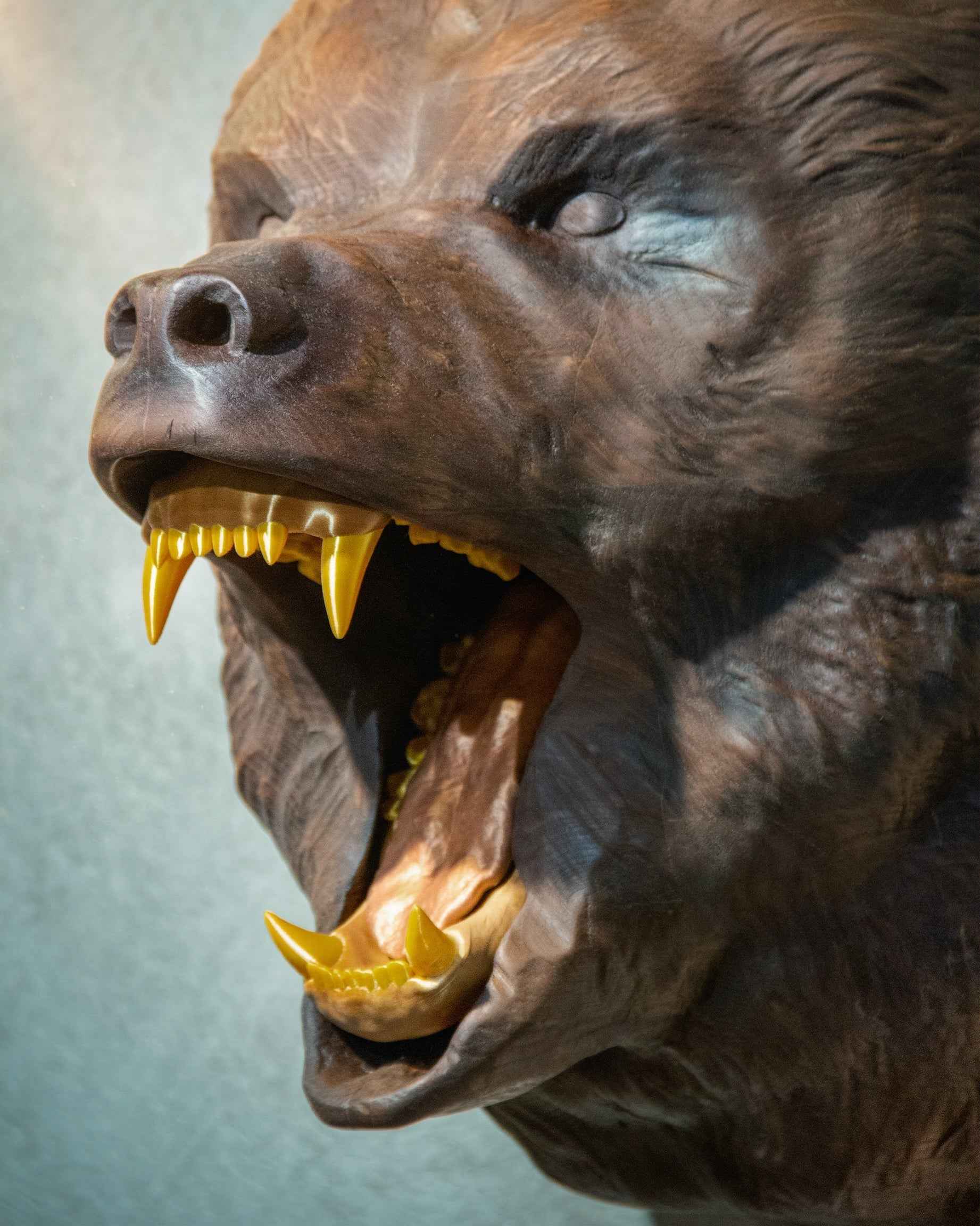 Hand-Carved Roaring Bear Head