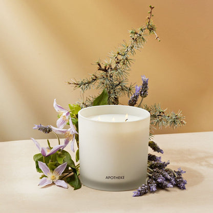 Hinoki Lavender 3-Wick Candle - PoshaBella