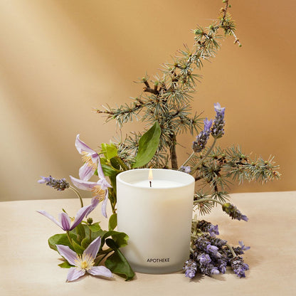 Hinoki Lavender Classic Candle - PoshaBella