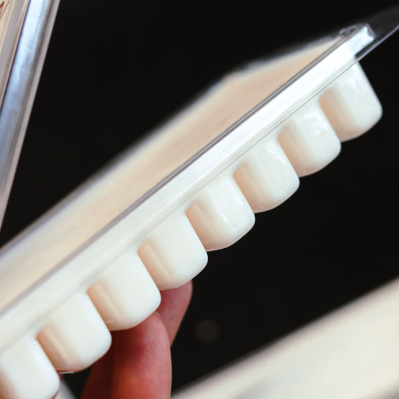 Desert Bloom  - 5.5 oz Wax Melts