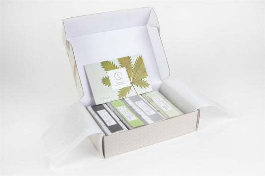 Earthy Shower Steamer Gift Box – 12 Natural Steamers