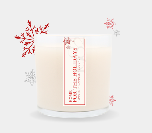 Home for the Holidays (14oz) - Notes: Winter Apples, Peppermint, Coconut Milk, Holiday Spices 1982 Candle Co.™