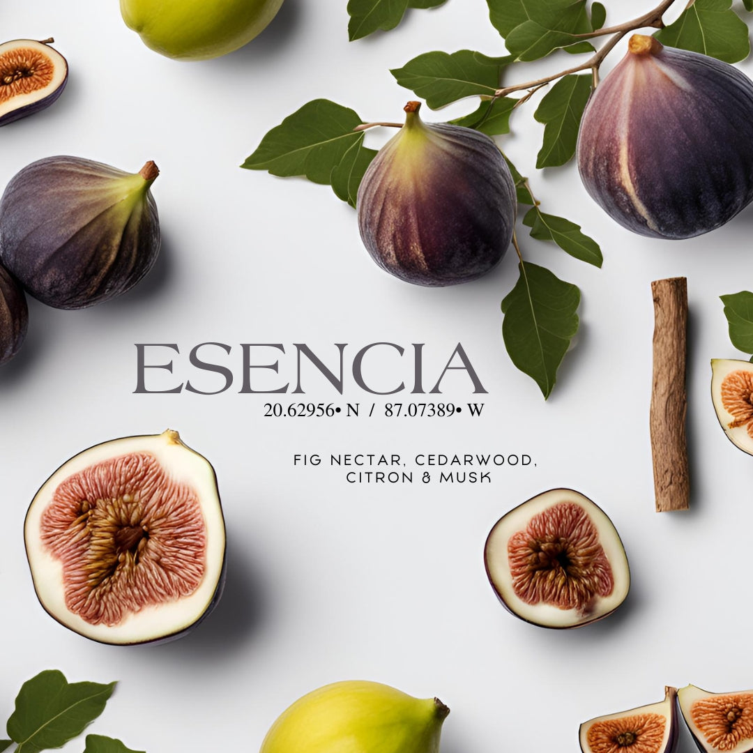 Esencia 20° 87° (14 oz Double Wick) - Notes: Fig Nectar, Cedarwood, Citron, Zest, Benzoin & Musk 1982 Candle Co.™