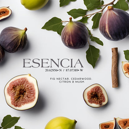 Esencia 20° 87° Room Spray 1982 Candle Co.™