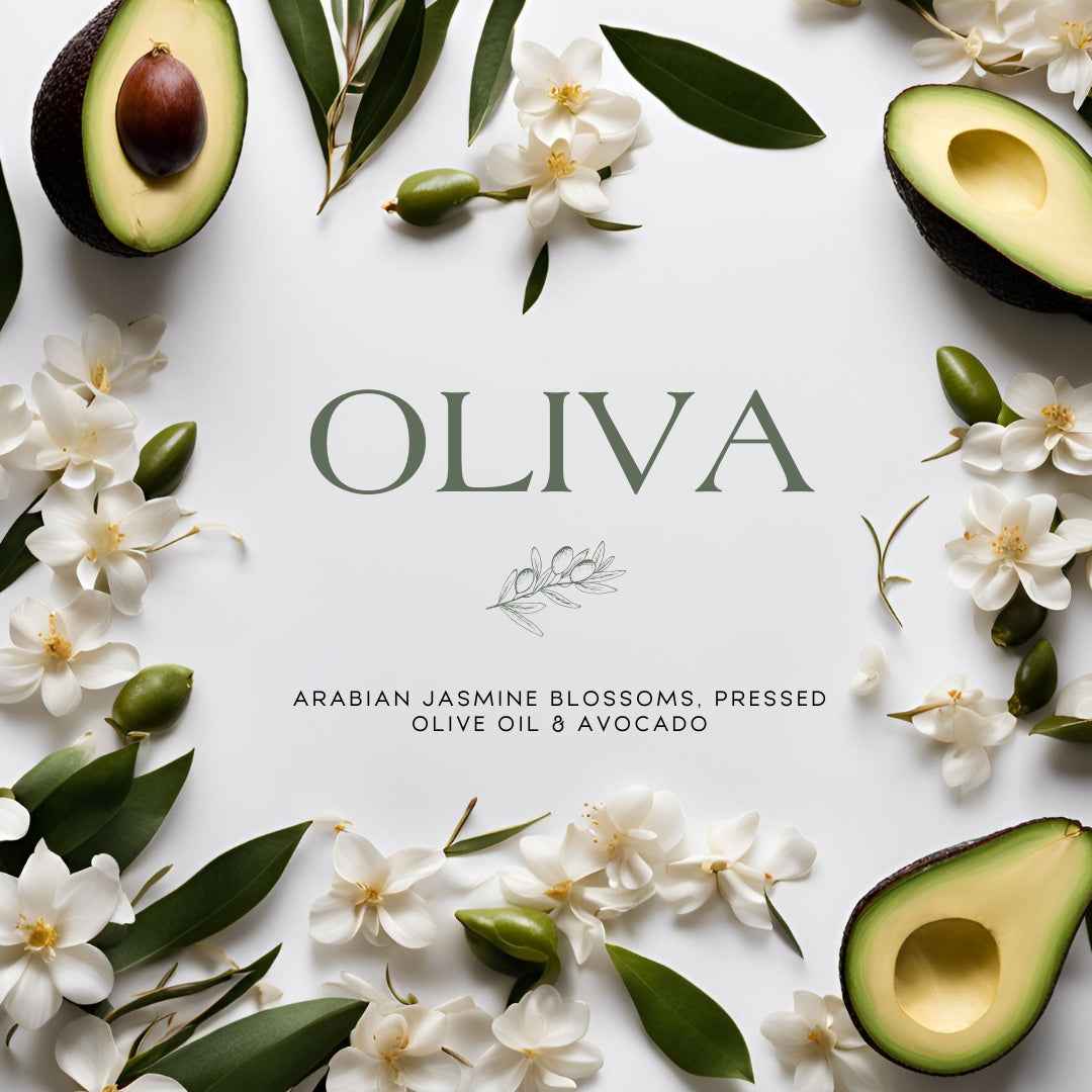 Oliva (14 oz Double Wick) - Notes: Arabian Jasmine Blossoms, Pressed Olive Oil & Avocado