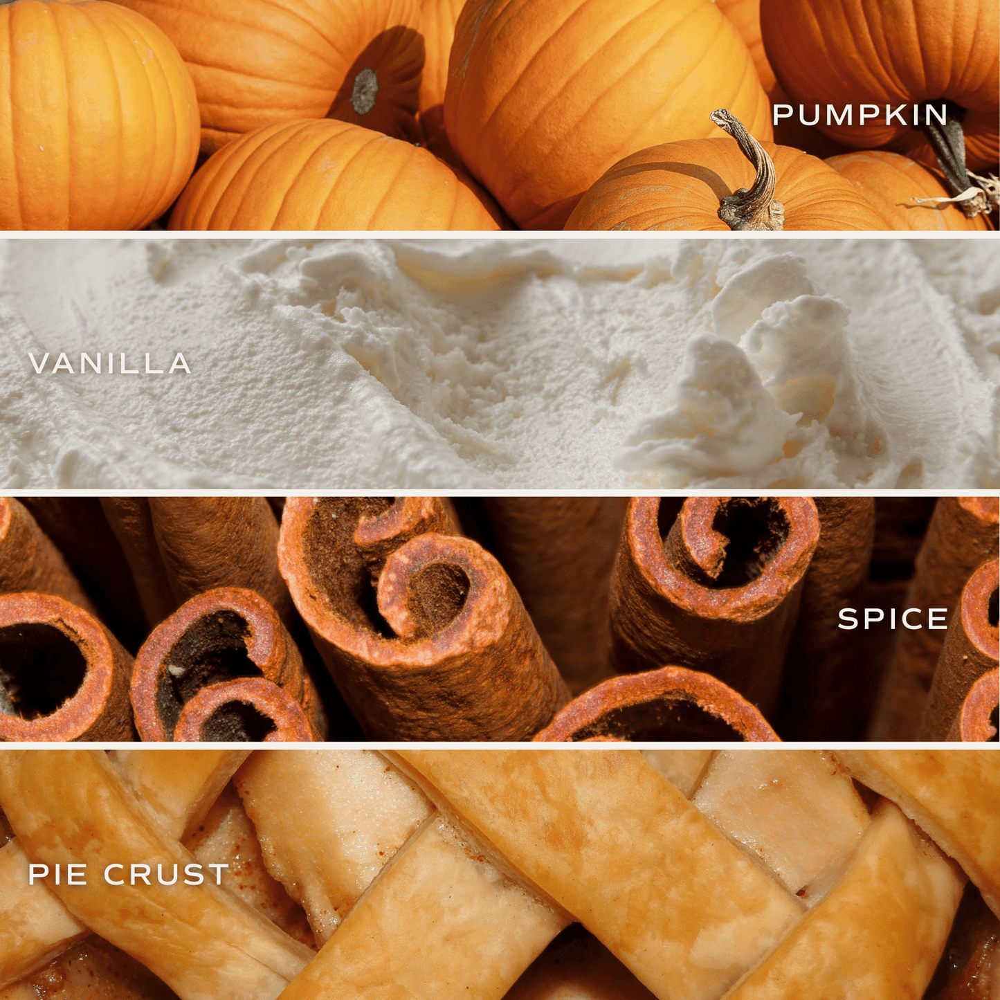 Pumpkin Pie Soy Candle - Orange Matte Jar - 15 oz (Hello Pumpkin)