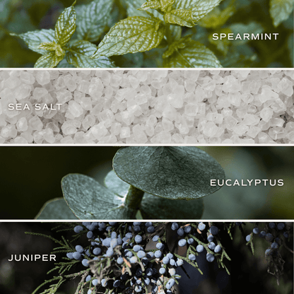 Restore and Renew White Eucalyptus 4.6 oz Bath Bomb