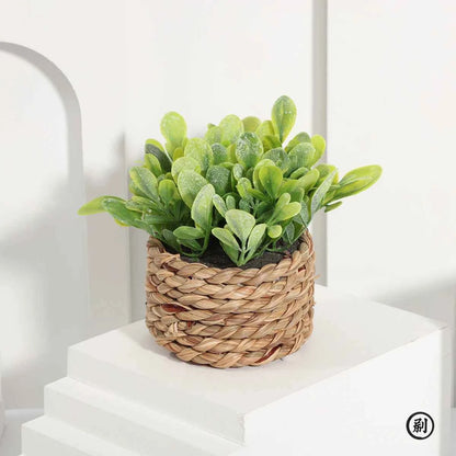 Mini Artificial Eucalyptus Grass Potted Plant Home Decor