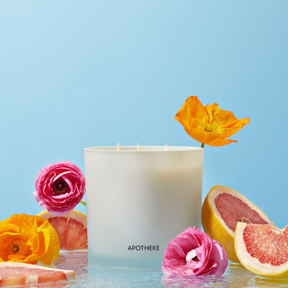 Sea Salt Grapefruit 3-Wick Candle - PoshaBella