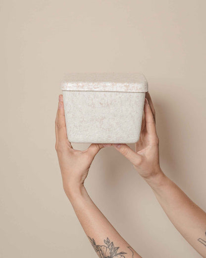 The Sculpted Bin - Petite with Lid | Set of 3